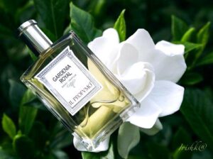 Osmo Scents Gardenia Royal Il Profvmo