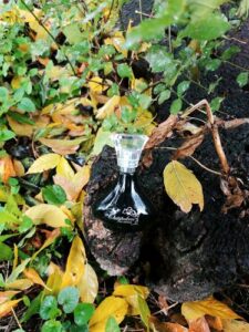 Outspoken by Fergie Avon