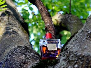 Padparadscha Satellite