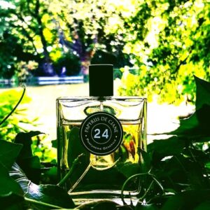 Papyrus de Ciane 24 Pierre Guillaume Paris