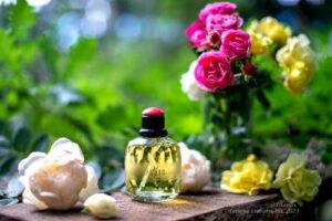 Paris Yves Saint Laurent