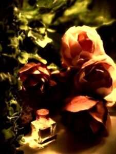 Paul Smith Women Paul Smith