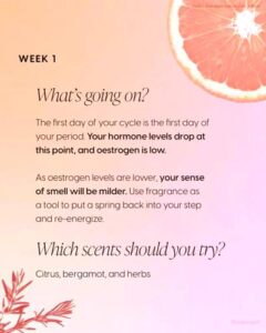 Petits et Mamans Bvlgari