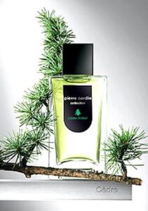 Pierre Cardin Collection Cedre-Ambre Pierre Cardin