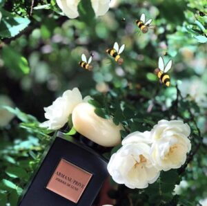 Pierre de Lune Giorgio Armani
