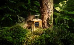 Piper Nigrum Lorenzo Villoresi