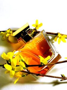 Sun Moon Stars Karl Lagerfeld