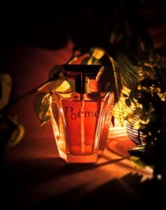 Jil Sander Woman III Jil Sander