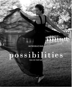 Possibilities Ann Taylor