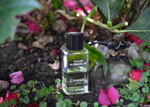 Pour Monsieur Chanel para Hombres | Parfumistas
