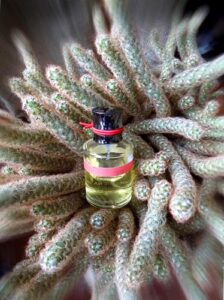 Preludio d’Oriente Cale Fragranze d’Autore