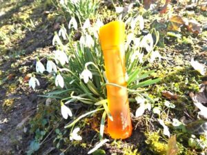 Pur Desir de Fleur d’Oranger Yves Rocher