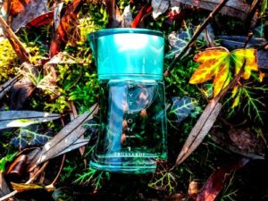 Python Uomo Trussardi