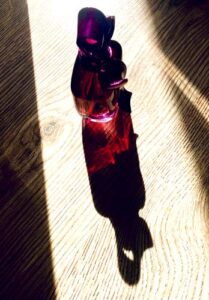 Ricci Ricci Nina Ricci