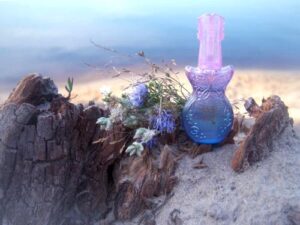 Rock Me! Summer of Love Anna Sui