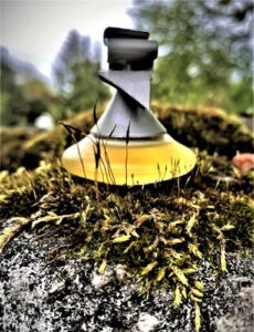 Romeo di Romeo Gigli Romeo Gigli