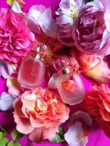 Rosa Flamenca Les Parfums de Rosine