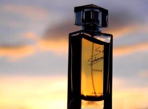 S de Scherrer Homme Jean-Louis Scherrer