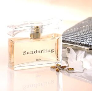 Sanderling Yves de Sistelle