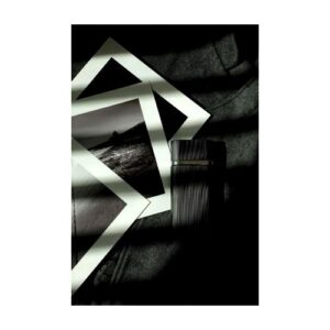 Santos de Cartier Cartier