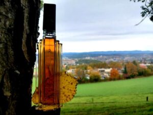 Scherrer 2 Jean-Louis Scherrer