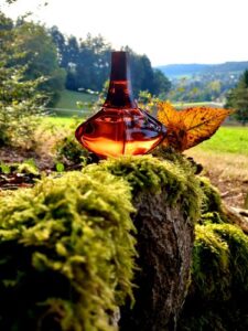 Secret Obsession Calvin Klein