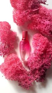 Sexy Graffiti Escada