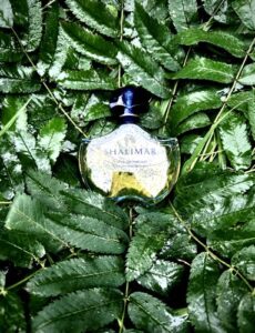 Shalimar Legere Guerlain