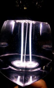 Sheer Veil Vera Wang