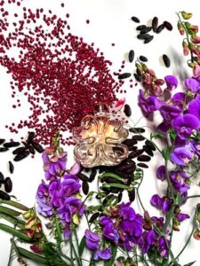 Si Lolita Lolita Lempicka