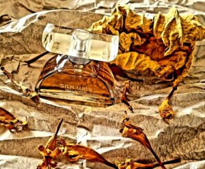 Silk Way Ted Lapidus