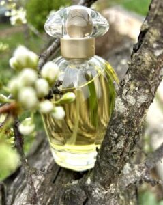 So de la Renta Oscar de la Renta