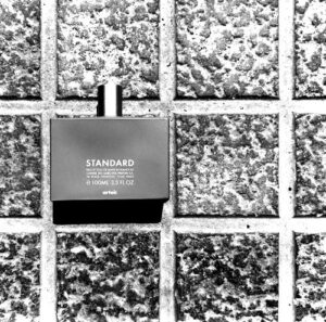 Standard Comme des Garcons