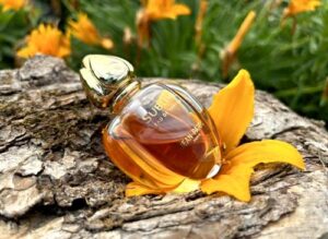 Racquets Formula Penhaligon’s