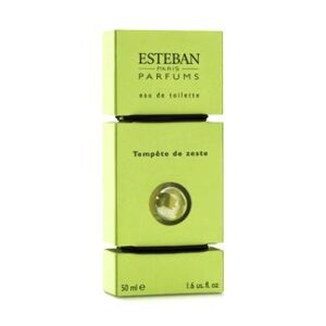 Tempete de Zeste Esteban