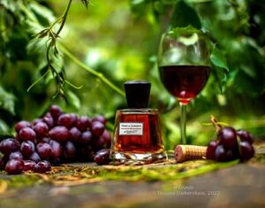 Terre de Sarment Frapin