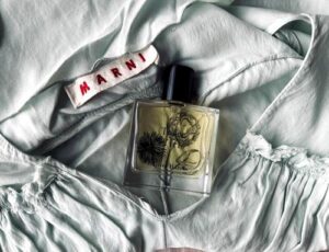 Terre d’Iris Miller Harris