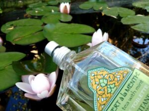 The Vert (Green Tea) L’Occitane en Provence