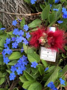 Tiptoeing Through Chambers of the Moon Pilar & Lucy