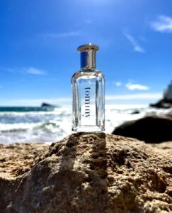 Tommy Tommy Hilfiger