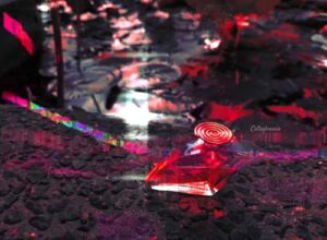 Tres Jourdan Charles Jourdan