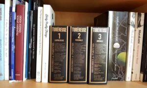 Tubereuse 2 Virginale Histoires de Parfums