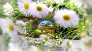 Turbulences Revillon