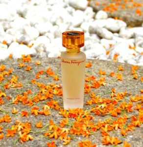 Tuscan Soul Salvatore Ferragamo