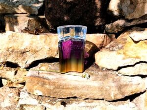 Ungaro Party Emanuel Ungaro