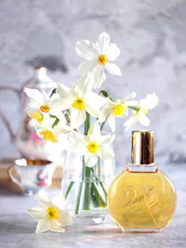 Perfume Gloria Vanderbilt Edt 100ml Mujer - La Casa Del Perfume - $10.990