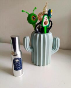 Vanille Divine des Tropiques La Maison de la Vanille