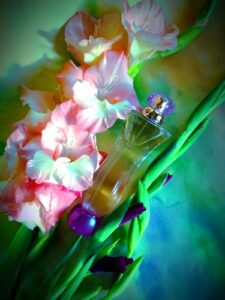 Versace Woman Versace