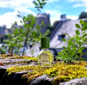 Verveine d’Été Le Jardin Retrouve