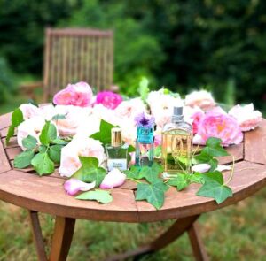 Verveine L’Occitane en Provence